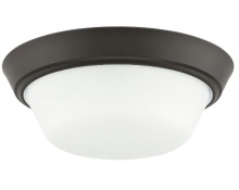 Progress P350303-020 - P350303-020 2-L 13IN FLUSHMOUNT