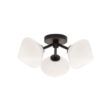 Matteo Lighting X81743BKOP - NOVO Ceiling Mount