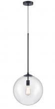 Avenue Lighting HF4201-BK - Delilah 14" Pendant in Black with Clear Glass