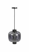 Avenue Lighting HF7812-GM - Cosmopolitan 12" Pendant in Gunmetal with Clear Glass