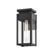 Troy B8513-TBK - Braydan Exterior Wall Sconce