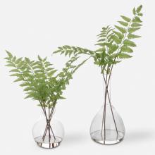 Uttermost 60202 - Uttermost Country Ferns Set/2