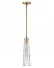 Fredrick Ramond FR31107HBR-CL - Large Adjustable Pendant